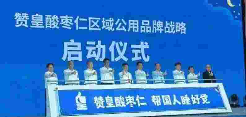 赞皇酸枣仁产业发展大会